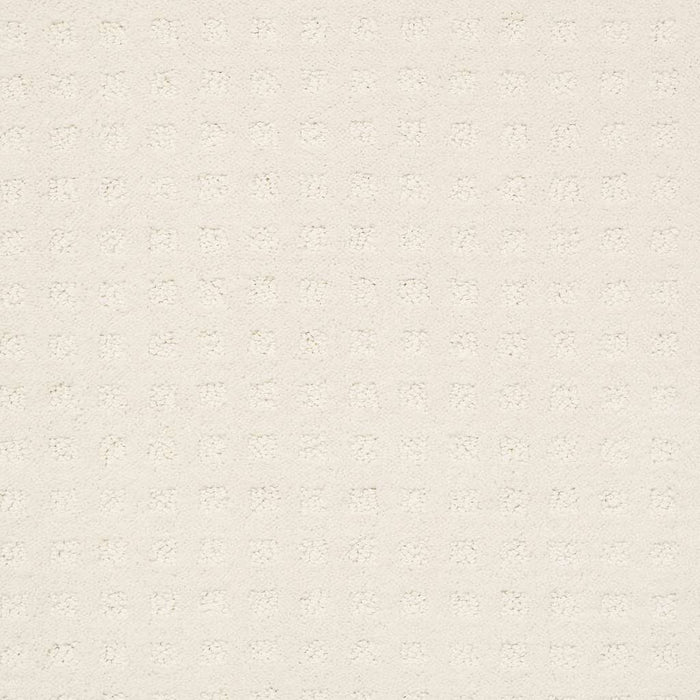 Foundations Alluring Disposition Nylon Crisp Linen 00171