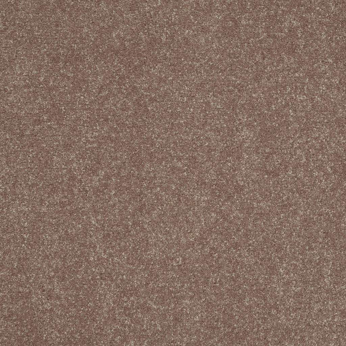 Shaw Floor Studio Home News II 15' Polyester Crossroads 00703