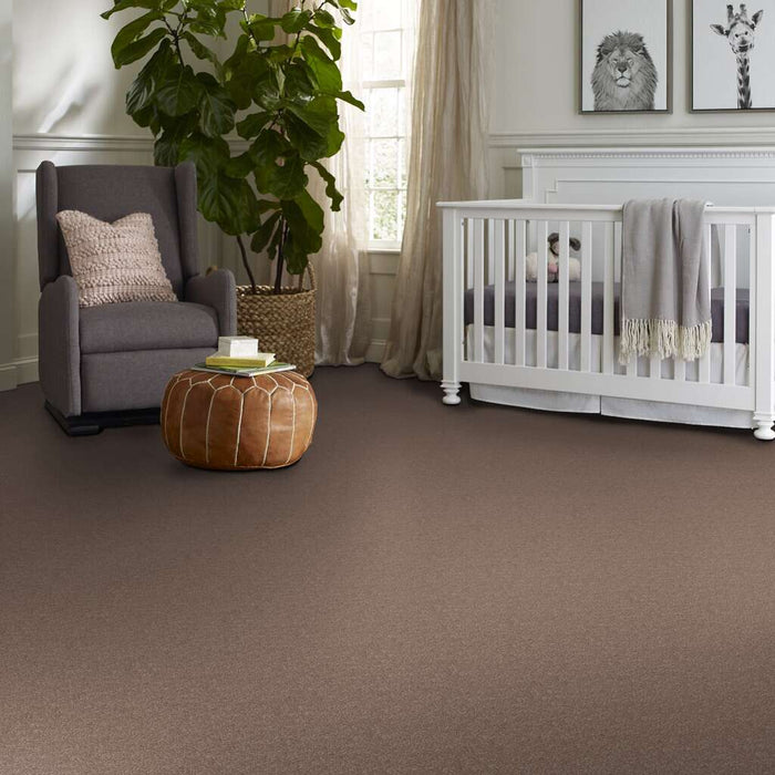 Shaw Floor Studio Home News II 15' Crossroads 00703 Textured Polyester