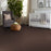 Shaw Floor Studio Home News II 15' Cup Of Java 00705 Textured Polyester