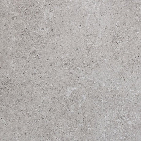 Daltile Dignitary DR10 Eminence Grey Matte Porcelain Tile — Stone