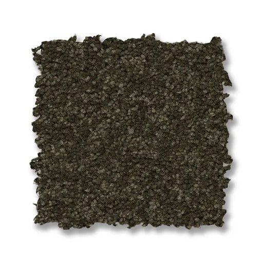 Enchanting Dark Olive 00339