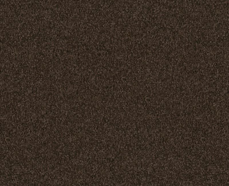 Gold Cut Pile 12' Dark Roast 00709