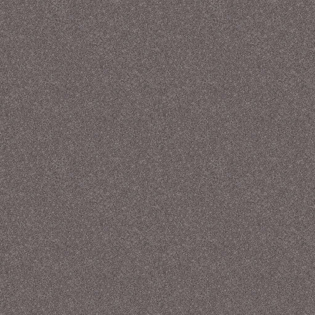 Shaw Foundations Harmonious II 00902 Deep Connection Nylon Carpet