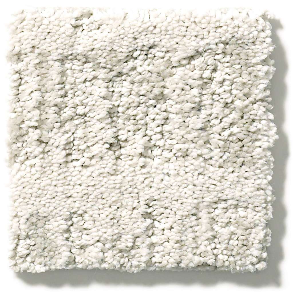 Shaw Caress By Shaw Resort Chic 00103 Delicate Pattern Nylon Carpet ...