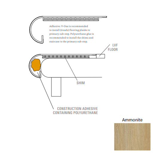 Delmont Ammonite GDW44-552-VFSN-04520