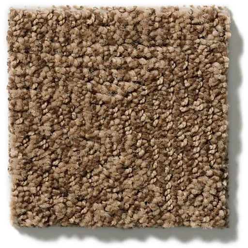 Diego Desert Beach 00765