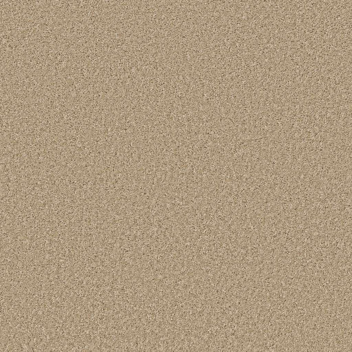 Shake It Up (S) Polyester Desert Sand 00210