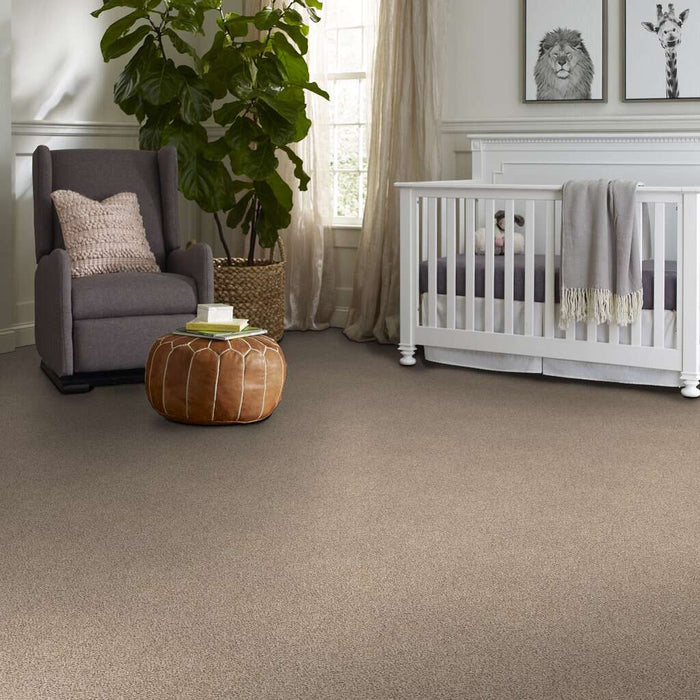 Foundations Take The Floor Accent I Desert Sunrise 00172 Loop Nylon