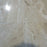 Diano Royal Marble Tile - 18" x 18" x 1/2" Polished