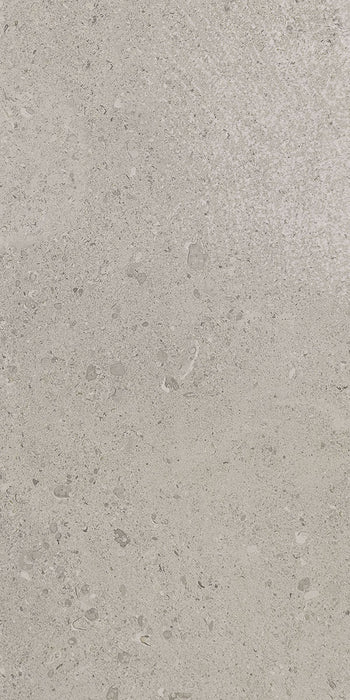 Dignitary Superior Taupe DR08