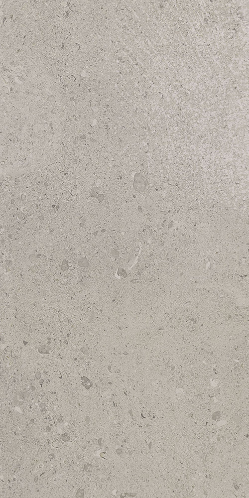 Dignitary Superior Taupe DR08