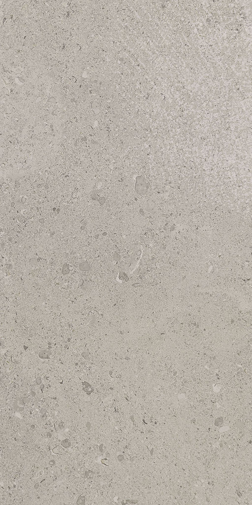 Dignitary Superior Taupe DR08