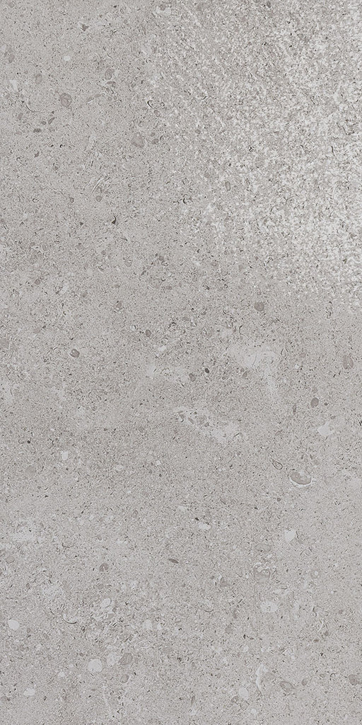 Dignitary Eminance Gray DR10