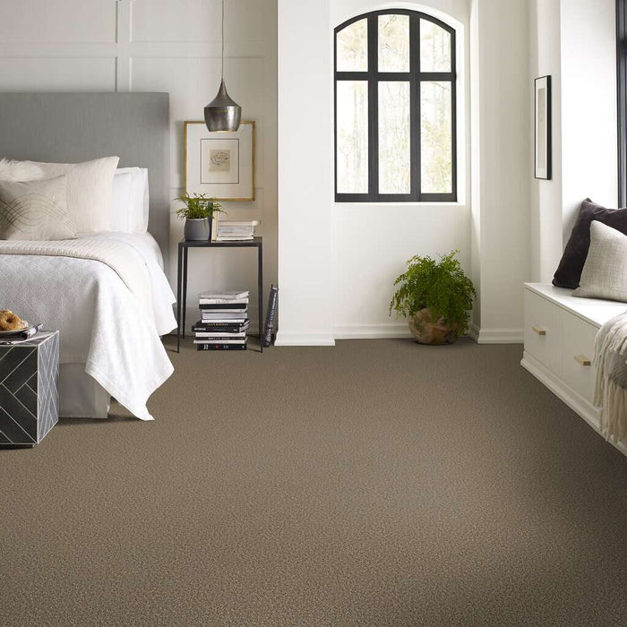 Simply The Best Frosting Dirt Road 00700 Textured Polyester