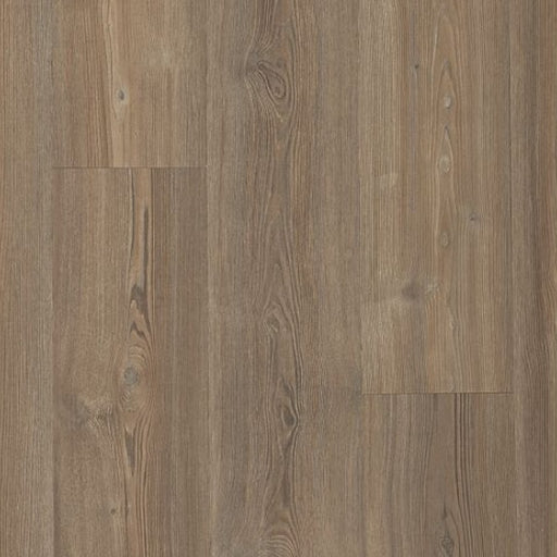 Dodford 20 Dryback Mochocino Pine 840