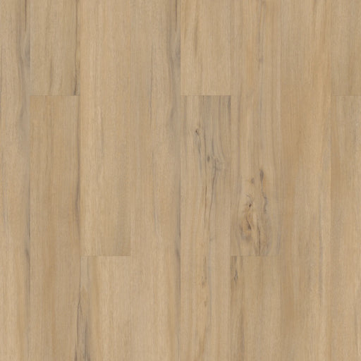 COREtec Plus 5 Inch Vinyl Dodwell Oak VV023-00573