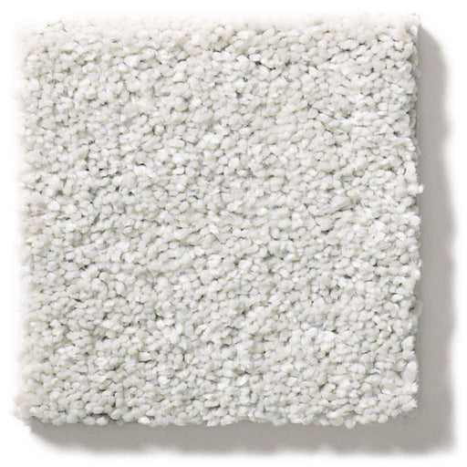 Simply The Best After All II Dolphin 00520