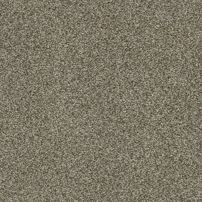 Pet Perfect Plus Just A Hint II Polyester Dreamy Taupe 00708