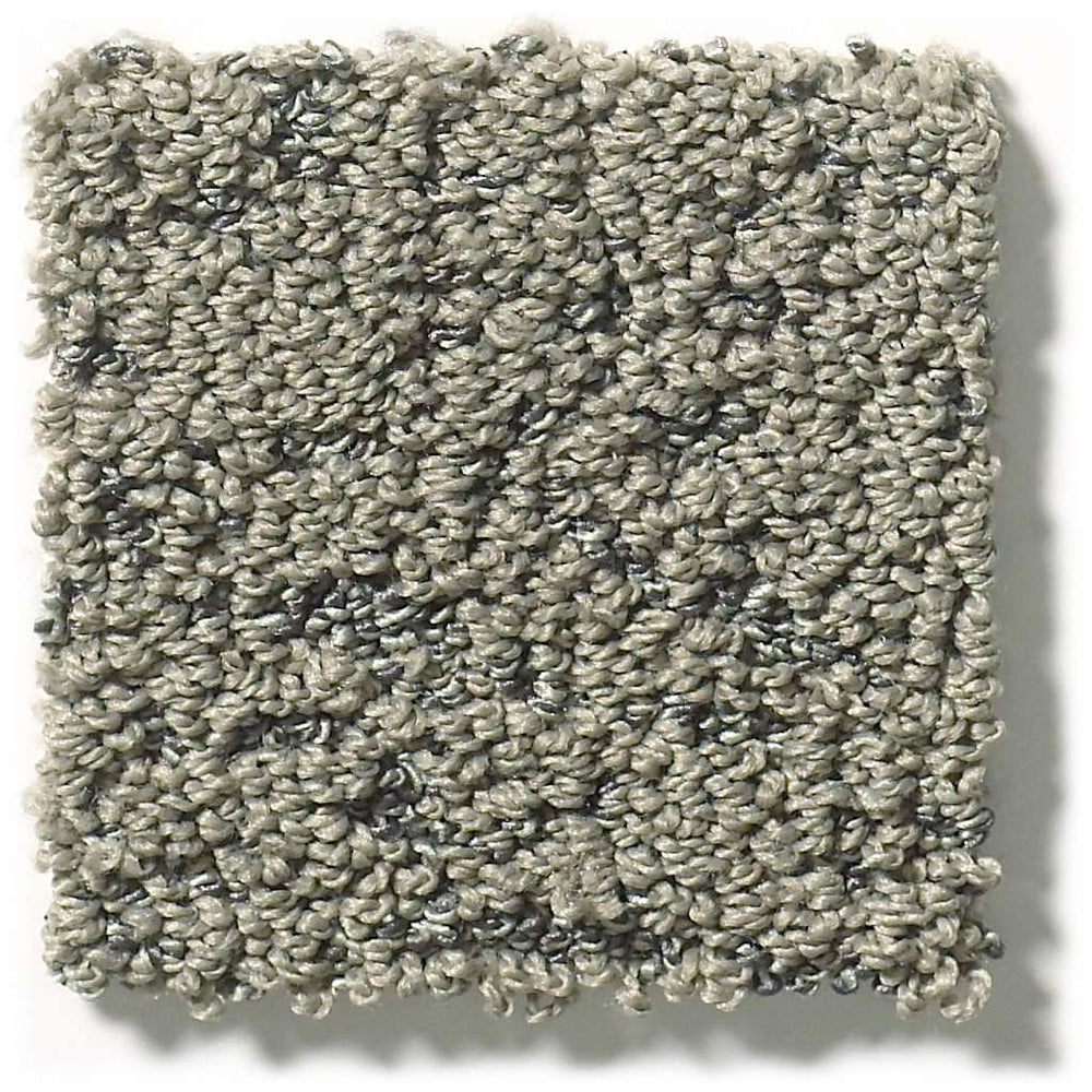 Pet Perfect Plus Make Your Mark Dreamy Taupe 00708