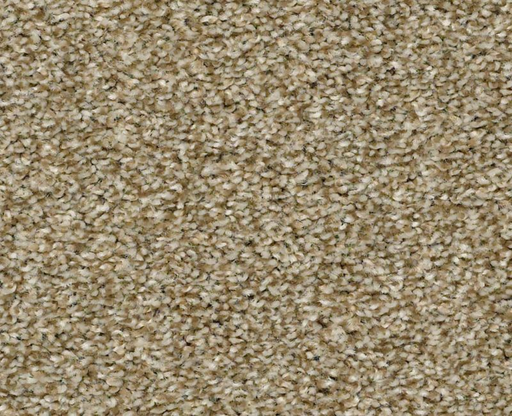 Marina II Dried Clay 00137