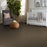 Shaw Floor Studio Complete Hold I Driftwood 00723 Textured Nylon