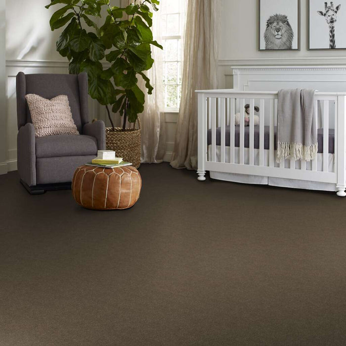 Shaw Floor Studio Complete Hold I Driftwood 00723 Textured Nylon