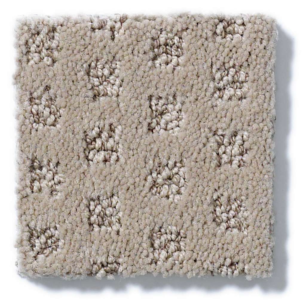 Shaw Caress By Shaw The Arts 00750 Dundee Pattern Nylon Carpet — Stone