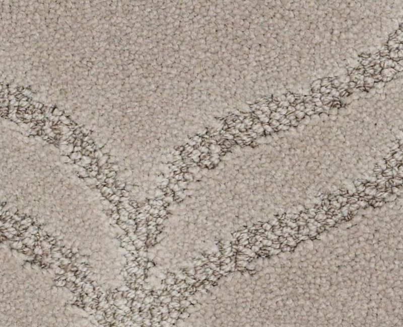 Shaw Appreciation LG 00750 Dundee Pattern Nylon Carpet Lowest Price