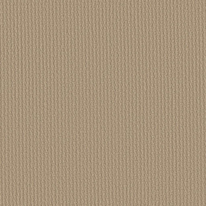 Shaw Floor Studio Best Hope Nylon Dunes 00102