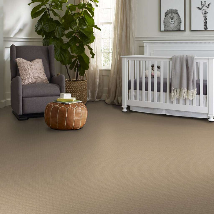 Shaw Floor Studio Best Day Dunes 00102 Pattern Nylon