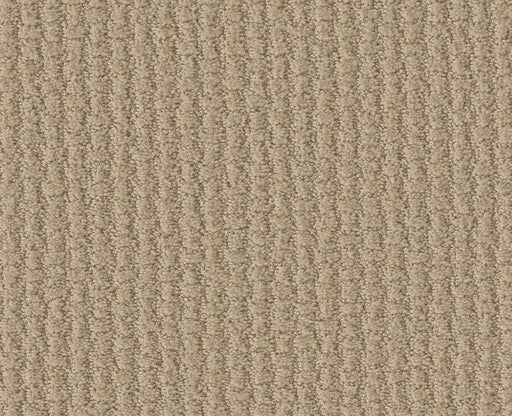 The Wedge Dunes 00102
