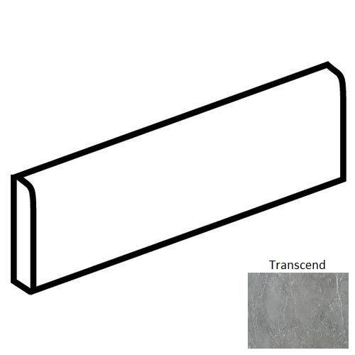 Enlite Transcend EL64