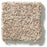 Carmel Coast Echo 00753