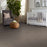 Shake It Up (A) English Oak 00700 Textured Polyester