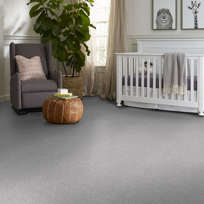 Pet Perfect Plus Calm Serenity I English Streets 00105 Textured Polyester