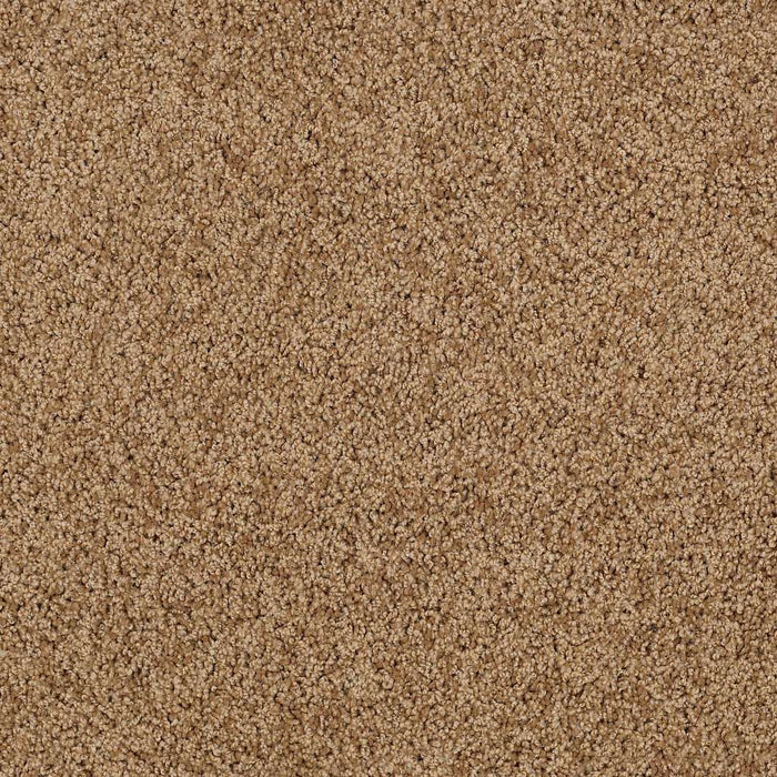 Shaw Floor Studio Around The House II Nylon English Toffee 00703