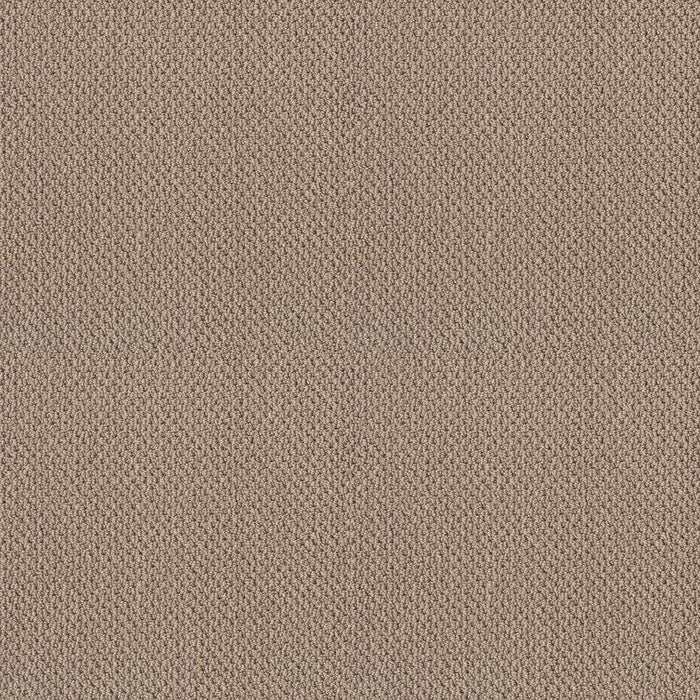 Foundations Smart Thinking Nylon Espresso 00192