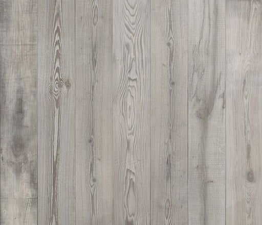 Essence Grey 240319-AT