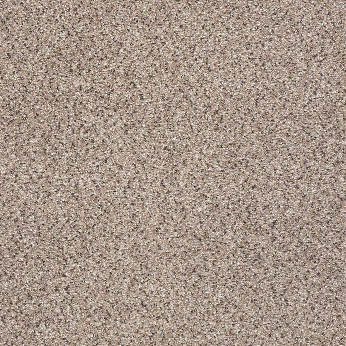 Foundations Take The Floor Accent I Nylon Everest 00176