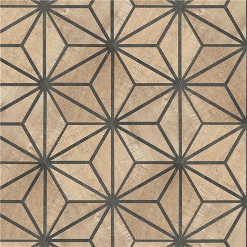 Tribeka Brown FCDTRIBX Glossy Porcelain