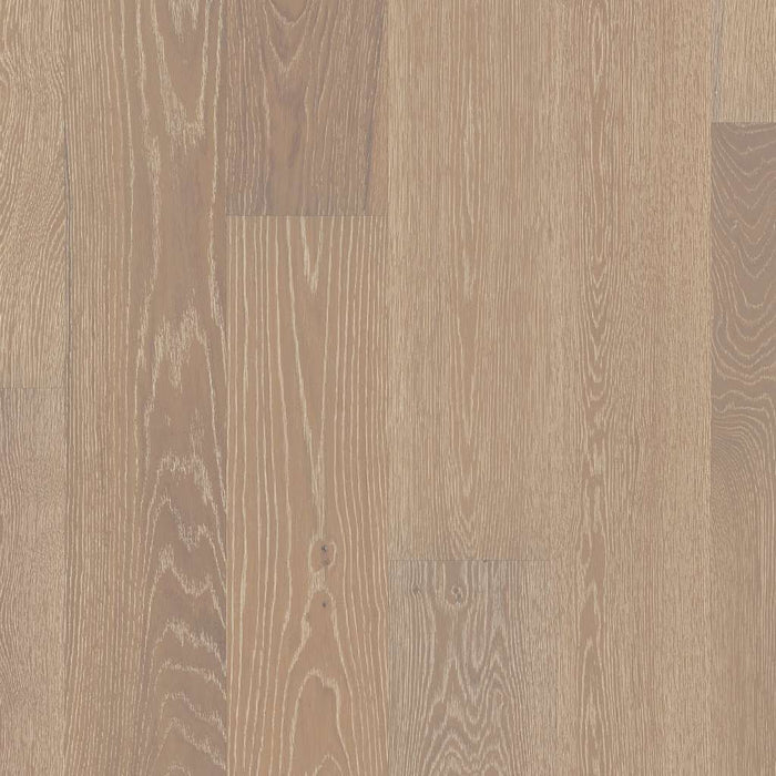 Exquisite Champagne Oak FH820-01058