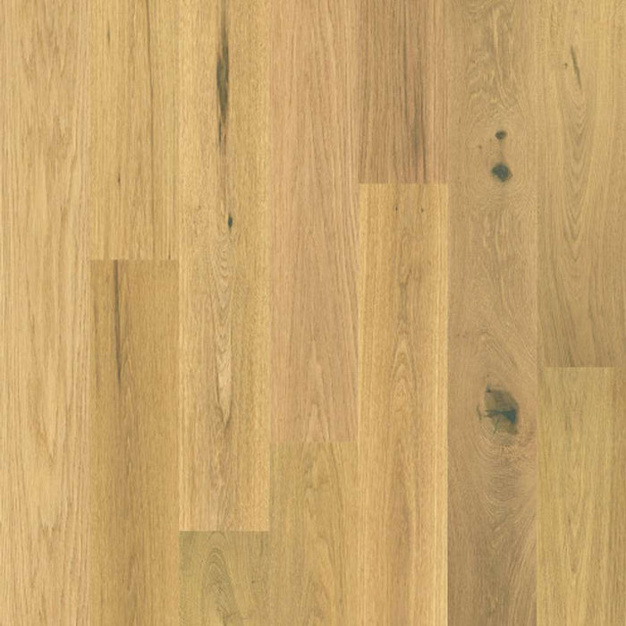 Exquisite Harvest Oak FH820-02056