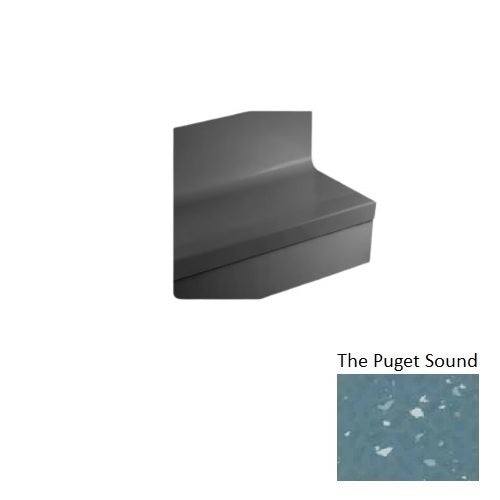 Johnsonite The Puget Sound CFLNTRSP-VK3-4-SQ