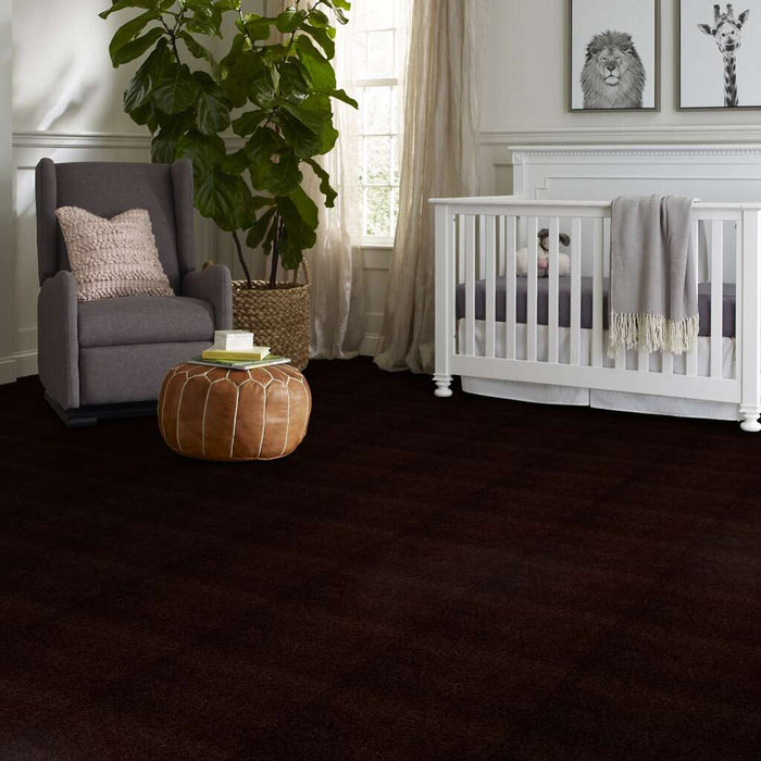 Shaw Floor Studio Home News II 12' Falcon Brown 00707 Textured Polyester