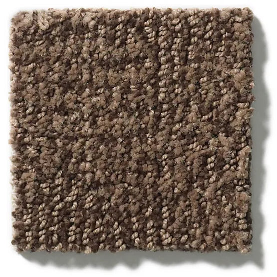 Anderson Tuftex Diego 00776 Fallen Timber Nylon Carpet — Stone & Tile ...