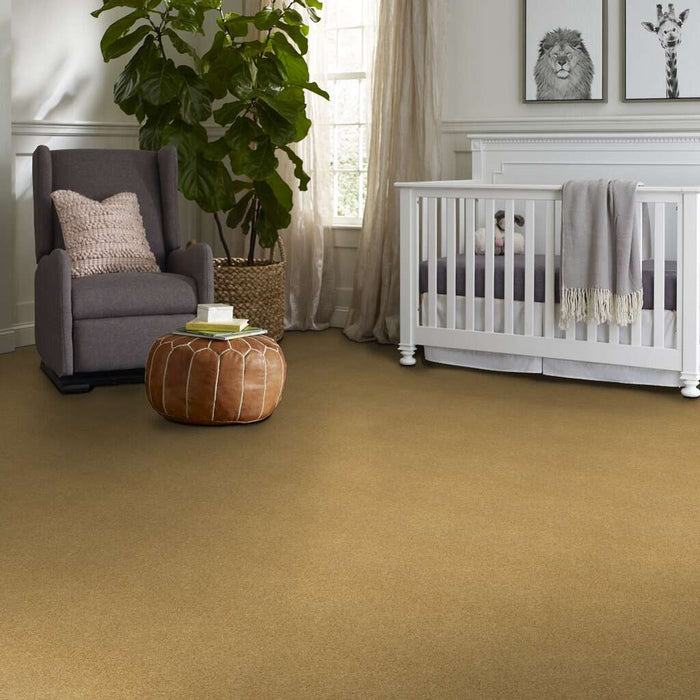 Shaw Floor Studio Around The House III Festival Gold 00201 Textured Nylon