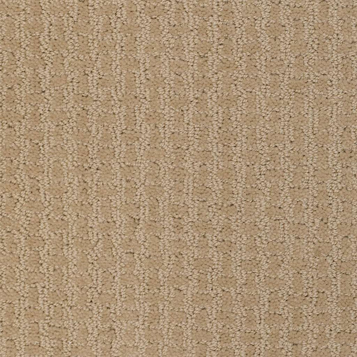 Shaw Floor Studio Best Hope Nylon Field Stone 00105