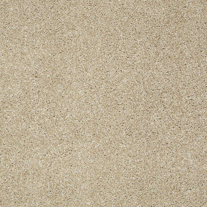 Shaw Floor Studio Gelato Nylon Field Stone 00105