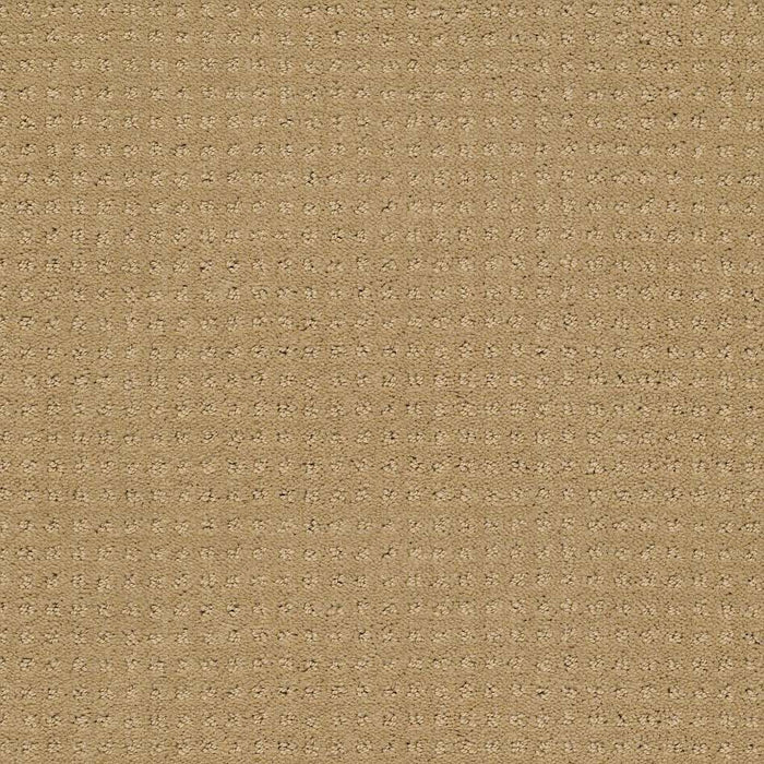 Westminster Nylon Field Stone 00701